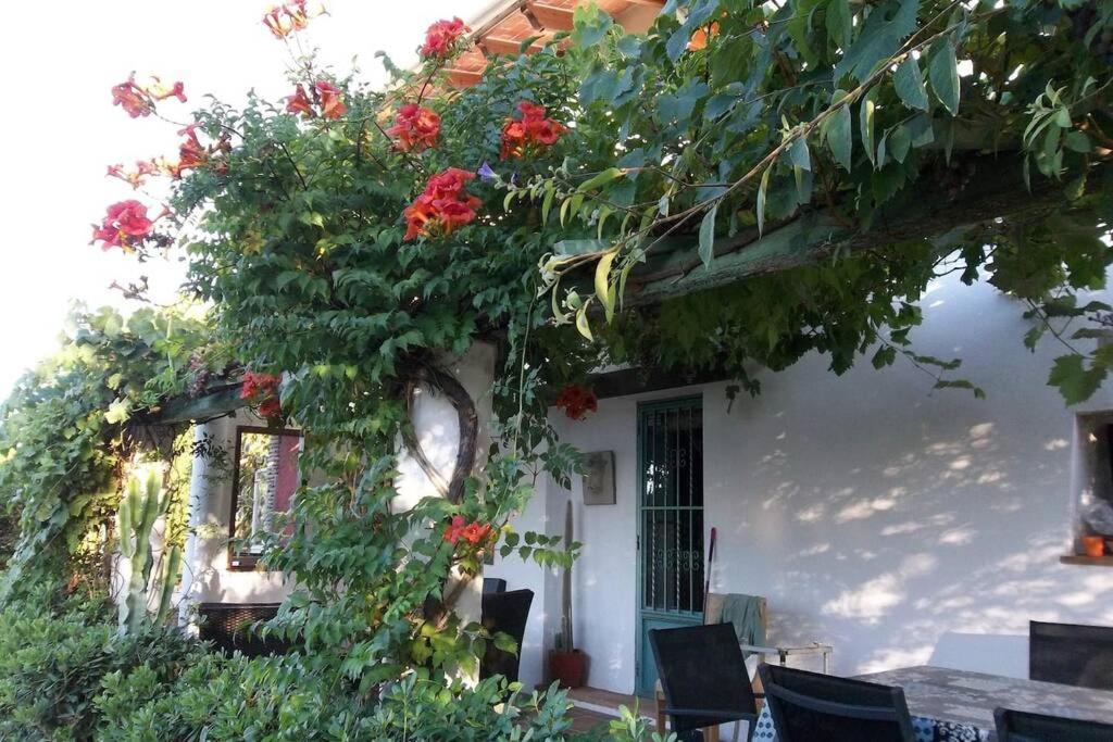 Вілла Cortijo Con Encanto Кульєра Екстер'єр фото